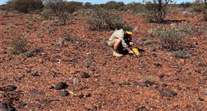 'Shedding light': Legend Mining identifies shallow gold potential at Pinnacle Well