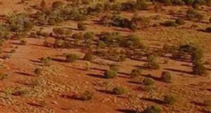 Great Western Exploration set to start drilling at Diorama copper-gold target in WA