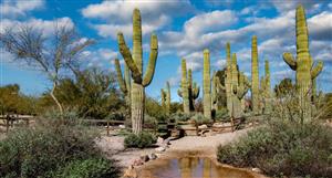 Arizona Lithium produces battery grade material ahead of 2025 production at Prairie
