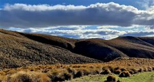 Critical confirms shallow gold system at Cap Burn in New Zealand