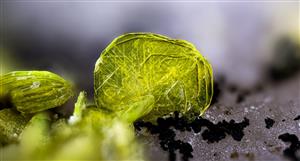 Basin snaps up 2 claims near top uranium prospect in Canada