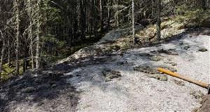 Critical Resources identifies 14 pegmatite targets at Mavis Lake lithium project