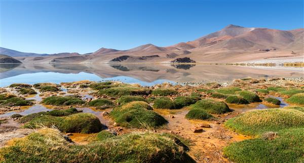 Atacama Desert in Chile