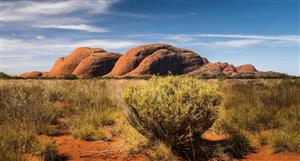 Litchfield Minerals kicks off copper drilling in the NT