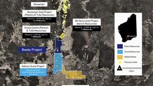 Platina Resources (ASX:PGM) begins exploration at new WA gold projects