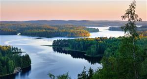 Prospech finds dynamite heavy REE grades from historic core in Finland