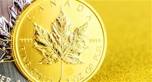 AuMega drilling program extends gold mineralisation at Canadian play