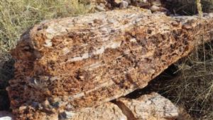 GreenTech Metals (ASX:GRE) strikes high-grade lithium at Ruth Well, WA