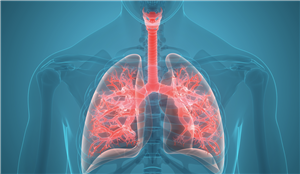 4DMedical (ASX:4DX) to take part in US Veterans study into lung damage