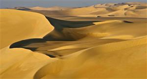 Metal Bank setting up shop in Saudi Arabia as part of MENA expansion plans