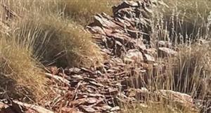 Hamelin Gold identifies high-grade gold lode at Day Dawn