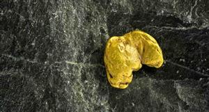 Argent hits rockchips up to 24g/t gold at Trunkey Creek, NSW
