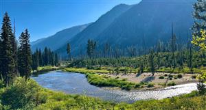 Resolution discovers broad gold, significant tungsten mineralisation in Golden Gate's last CY25 assays