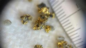 Vertex Minerals raises $3.6m to fund next steps to gold production