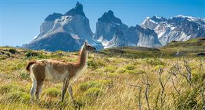 Southern Hemisphere extends strike to 2.2km at copper-gold-moly play in Chile