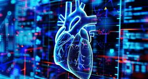 Monash tests show strong cardioprotective qualities for Algorae drug candidate
