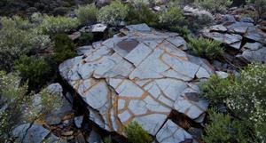 Juno identifies early promise at Mount Ida gold anomaly