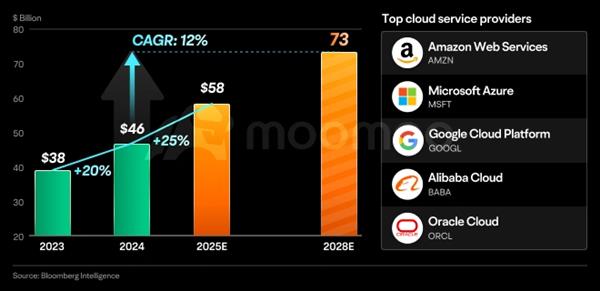 Forecasted global cloud service market revenue growth from $38B in 2023 to $73B by 2028, with a 12% CAGR. Leading providers include AWS, Microsoft Azure, Google Cloud, Alibaba Cloud, and Oracle Cloud.
