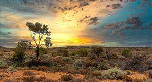 Nanocap Alma Metals picks up 51% of Briggs Copper Project JV in QLD