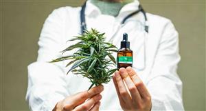 Wellnex sees first special access scheme prescriptions for new Wellness Life brand