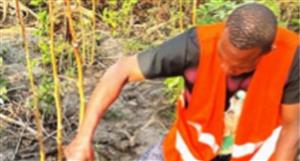 MetalsGrove discovers significant cluster of gold soil samples at new Stellar JV