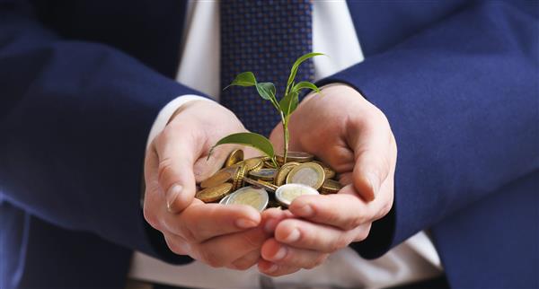 A handful of coins with a sprouting plant