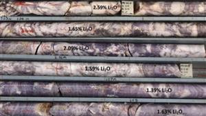 Mandrake pursues hefty lithium target at Utah