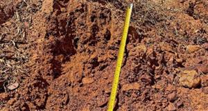 Peregrine Gold significantly extends Newman project with positive sampling