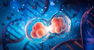 Cynata study shows efficacy of stem-cell therapy on chronic lung disease