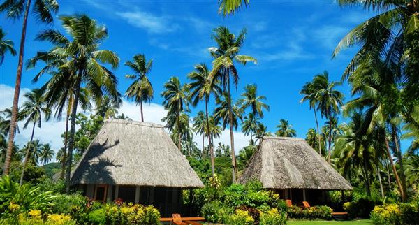 Traditional houses in Fiji