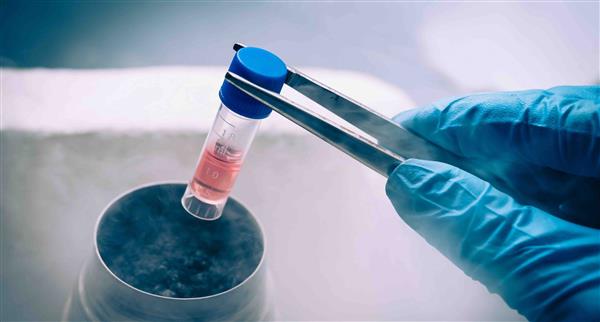 Stem cell concept