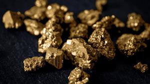 Broker-backed Calidus posts fresh gold JORC, soliciting subdued gains