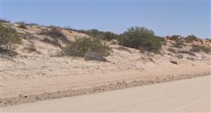 Alligator ready to test 'exciting' Big Lake uranium discovery in South Australia