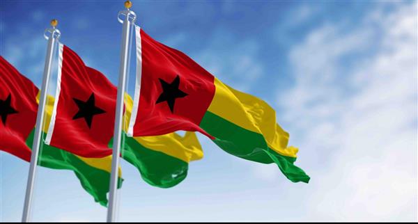 Guinea flags