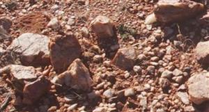 Great Western Exploration kicks-off drilling of Diorama copper-gold target