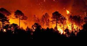 Forest fires see Champion Iron shut down Bloom Lake