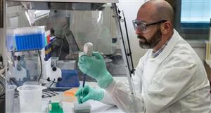 Race Oncology indentifies 'primary mechanism of action' of its lead anticancer candidate