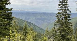 Advance spots new unmapped high-grade silver-gold zone at Yoquivo