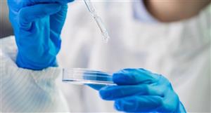 Patrys begins key activities for delirium candidate