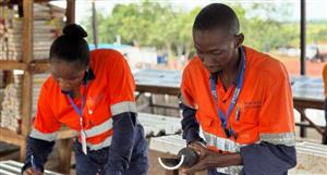 Predictive Discovery and Robex complete West African focused merger