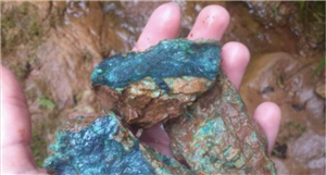 Drilling at Bethanga shows signs of Cu-Au porphyry system for Nexus