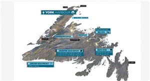 York Harbour signs option agreement with Firetail Resources