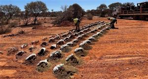 More prospects at Sandstone to feed right into Brightstar's 'rapidly growing' estimate update