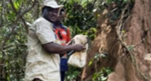 Metalsgrove Mining identifies potential drill target at Fifty-Five prospect
