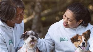Mad Paws barks up a $5.25m investment from Seven West Media