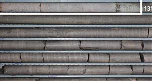 Brazilian Rare Earths says Monte Alto discovery 'world class'
