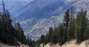 Resolution secures two diamond core rigs for Golden Gate tungsten, gold drilling