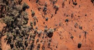 Liontown edges higher after outlining tangible steps to major expansion of Kathleen Valley lithium operation