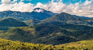 St George ties up downstream deals for REE, niobium in Brazil