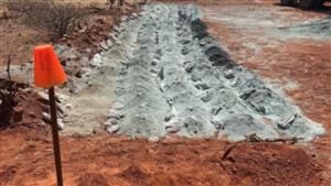 Augustus Minerals unveils promising lithium find at Ti-Tree project in WA